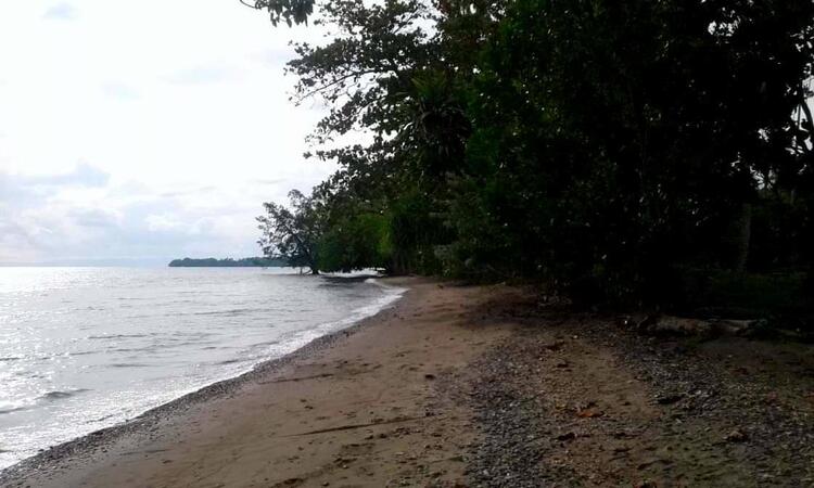 Pesisir Pantai Pesisir Pantai