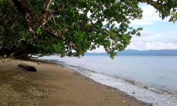 Pesisir Pantai dari kejauhan