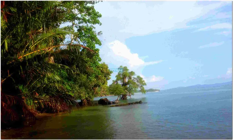 Pesisir pantai dari kejauhan